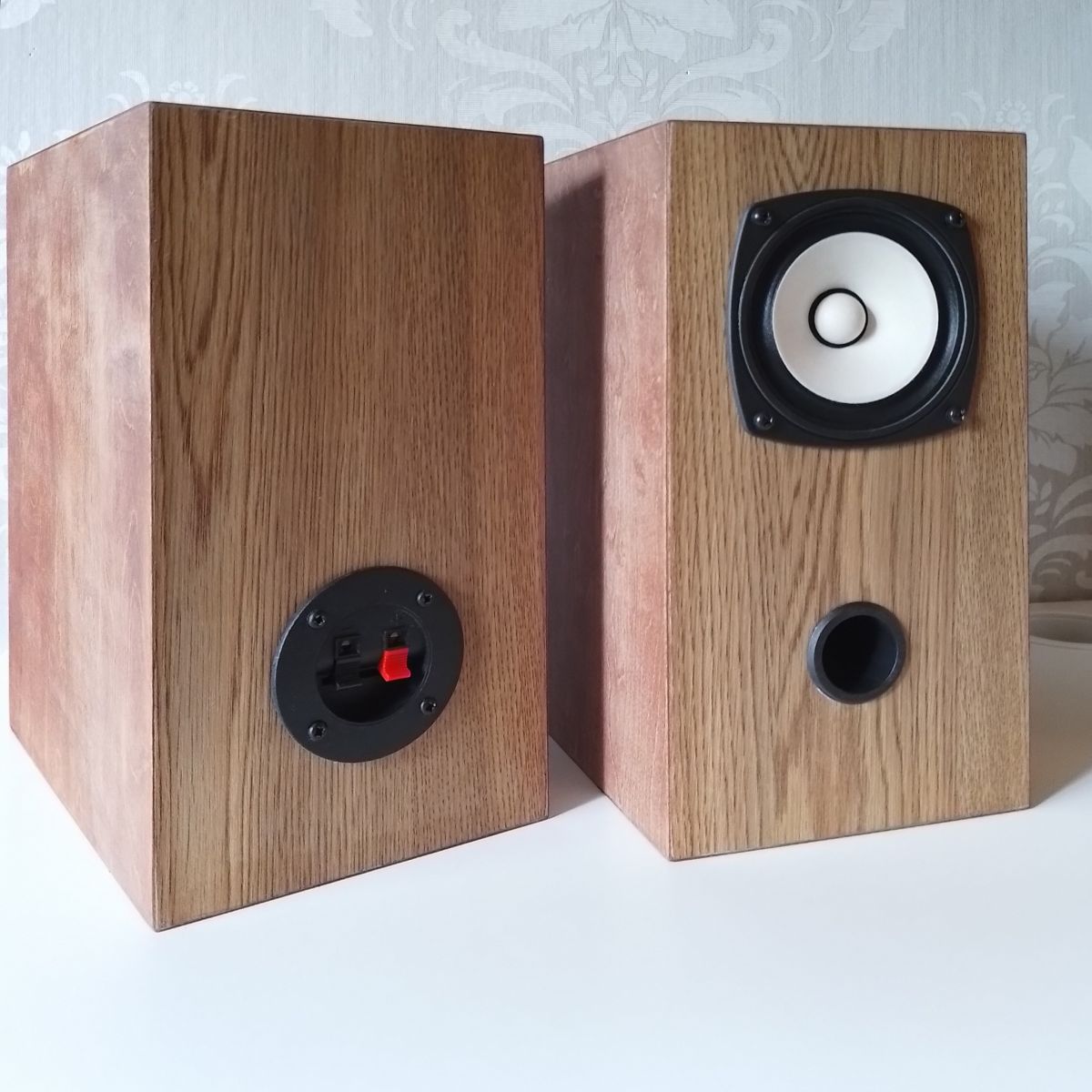 home made speakers with fostex fe103nv